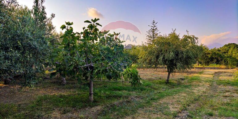 20250702112515-963973-19