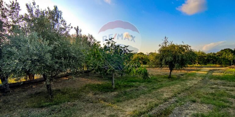 20250702112515-963973-20