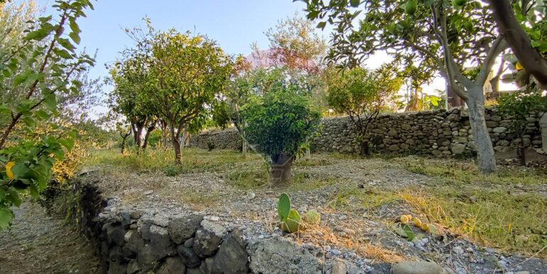 20250702112515-963973-21