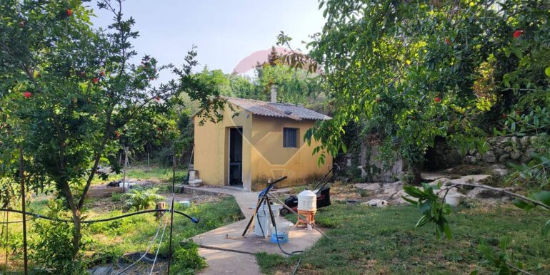 20250703173228-964733-9