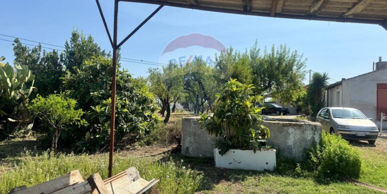 2025070395613-964325-2