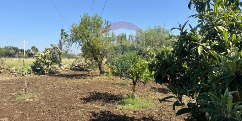 2025070395616-964325-3