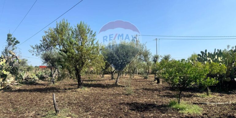 2025070395619-964325-5