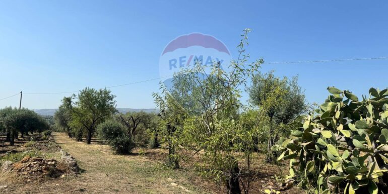 2025070395621-964325-6