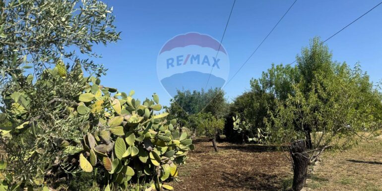 2025070395623-964325-7