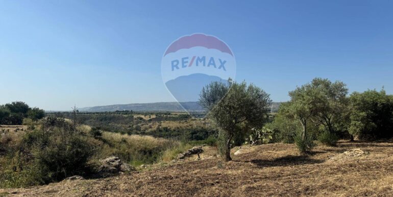 2025070395624-964325-8