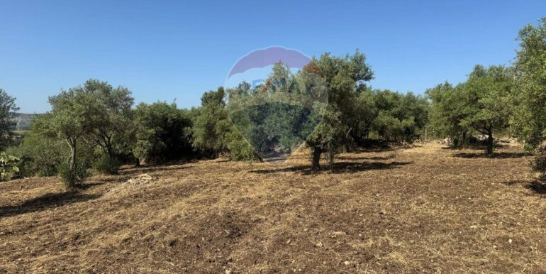 2025070395626-964325-9