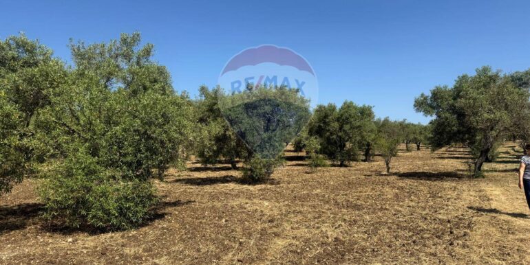 2025070395628-964325-10