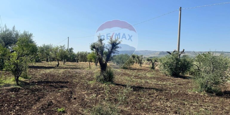 2025070395630-964325-11