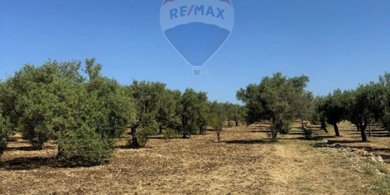 2025070395735-964325-16