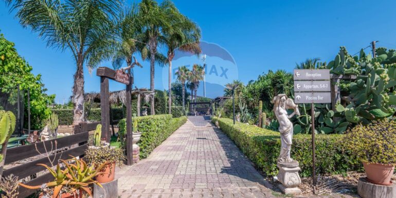 2025070475524-964870-29