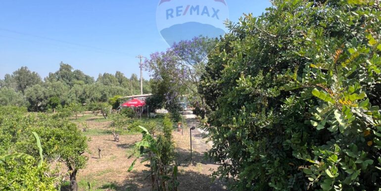 20250706202019-965370-4