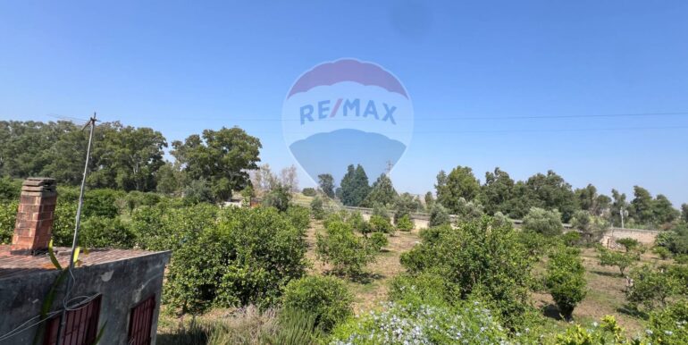 20250706202025-965370-6