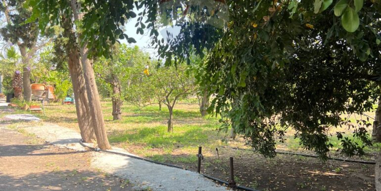 20250706202028-965370-7