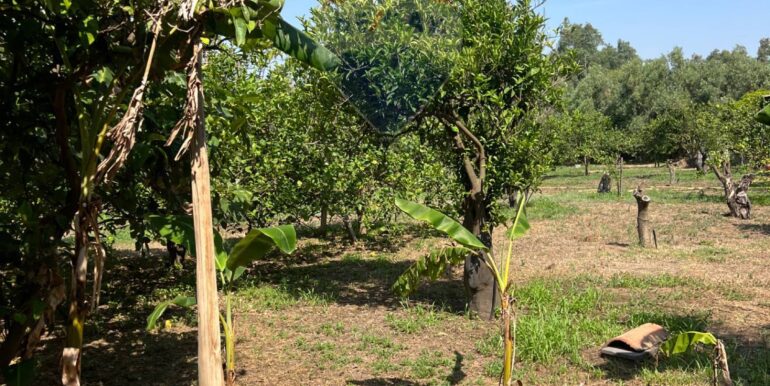 20250706202032-965370-8