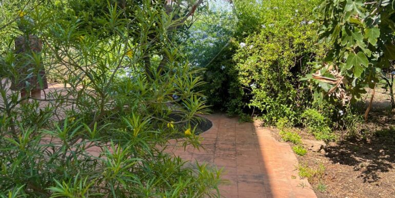 20250706202035-965370-9