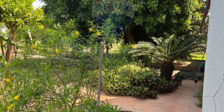 20250706202038-965370-10