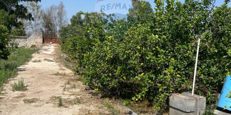 20250706202052-965370-15