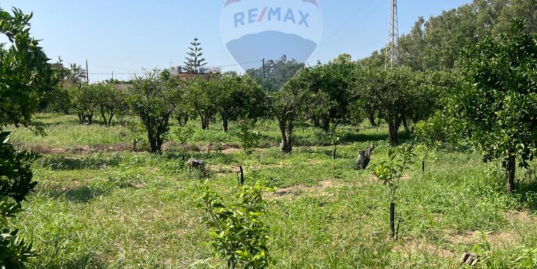 20250706202055-965370-16