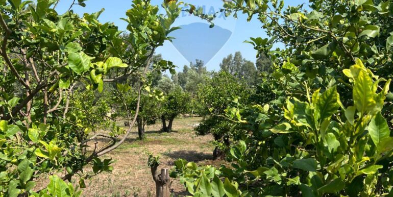 20250706202058-965370-17