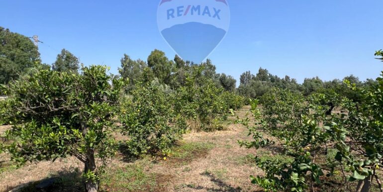 20250706202101-965370-18