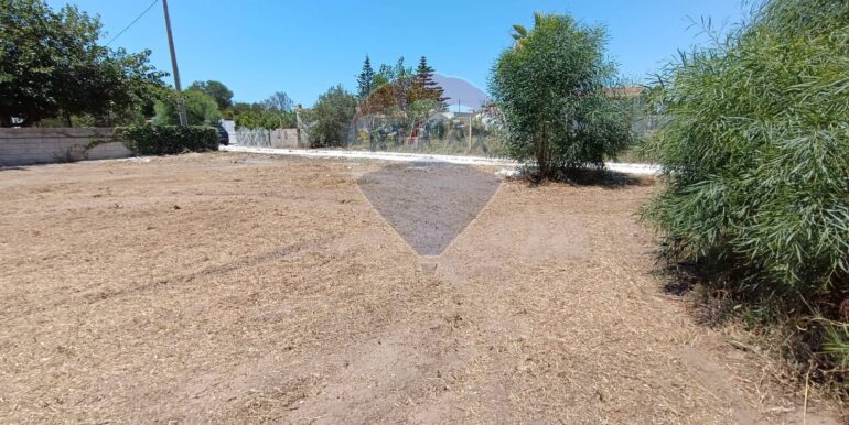 20250708100203-965676-6