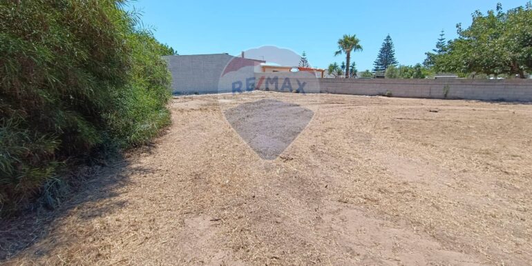 20250708100205-965676-7