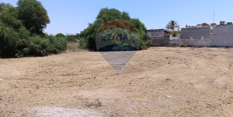 20250708100219-965676-11