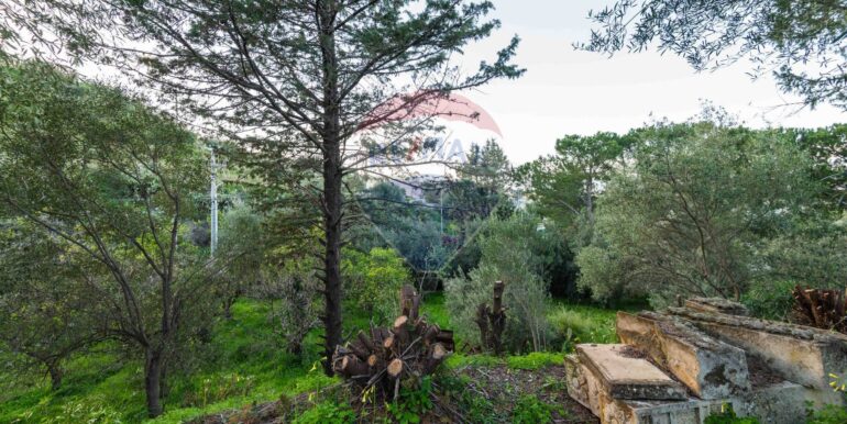 20250709101006-963019-4