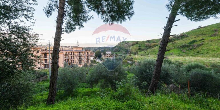 20250709101015-963019-6