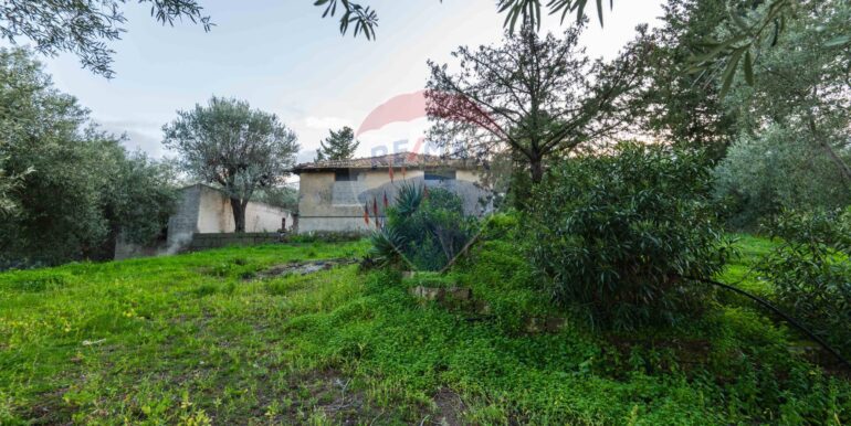 20250709101027-963019-8