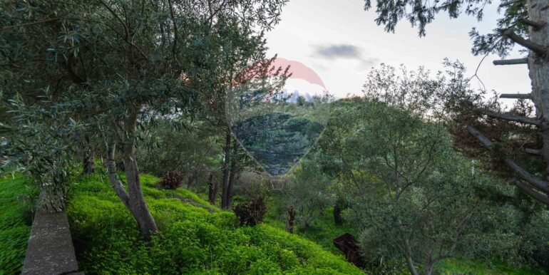 20250709101035-963019-10