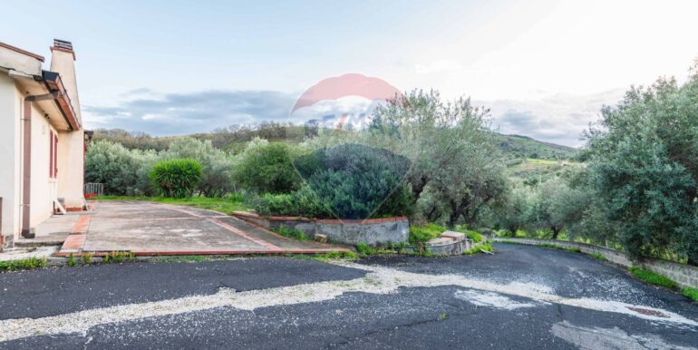 20250709101040-963019-11