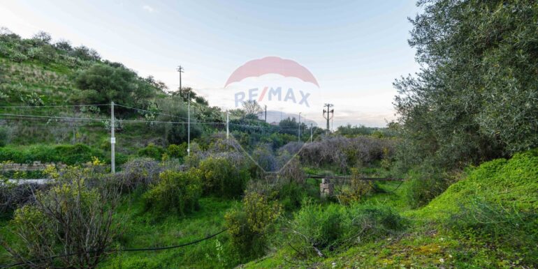 20250709101048-963019-13