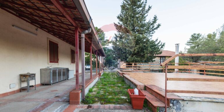 20250709101134-963019-24