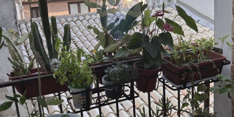 20250709201200-961318-11