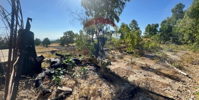 20250710110200-966115-1