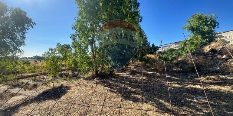 20250710110229-966115-8