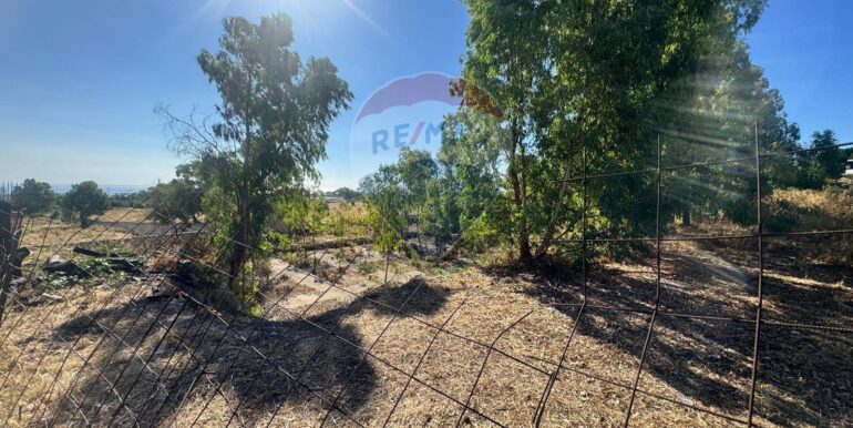 20250710113703-966127-9