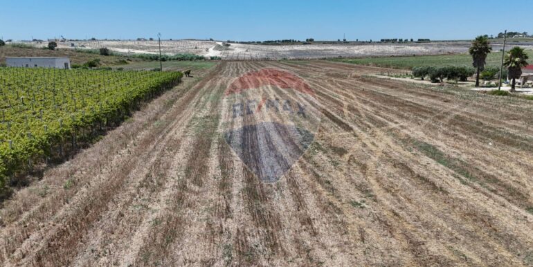 20250710141130-910405-19