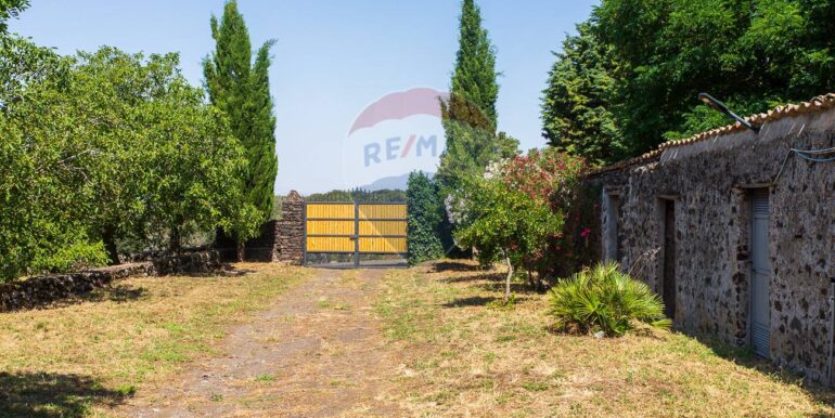 20250717164145-968638-1