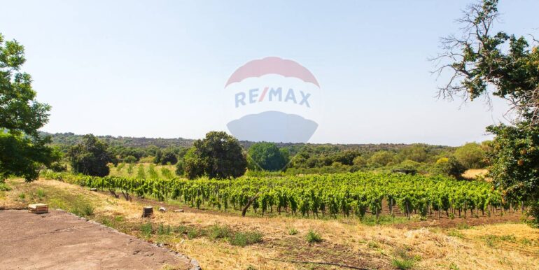 20250717164155-968638-3