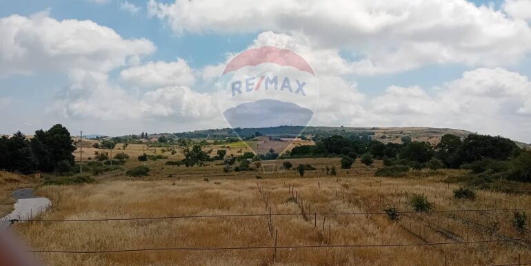 20250721123057-969508-24