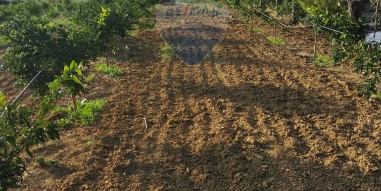 20250722200653-969714-3