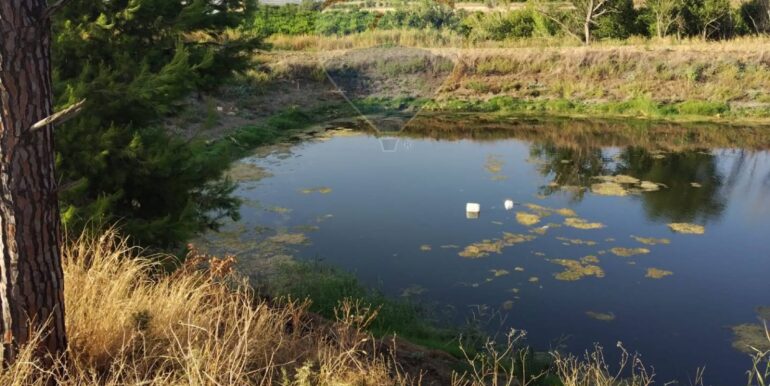 20250722200701-969714-5