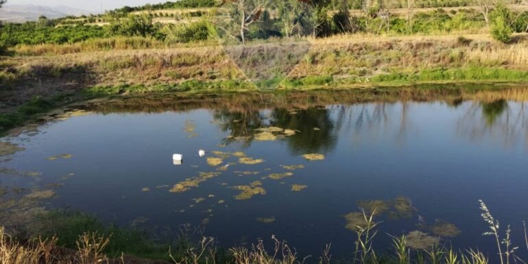 20250722200705-969714-6