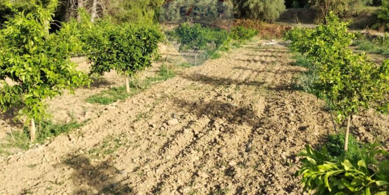 20250722200713-969714-8