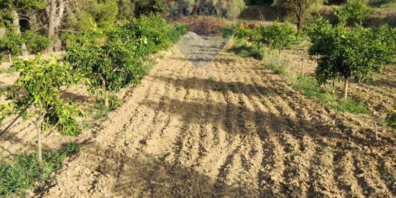 20250722200726-969714-11