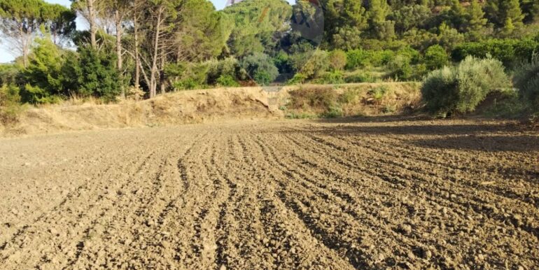 20250722200736-969714-13