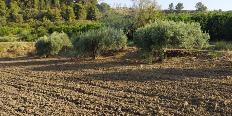 20250722200740-969714-14